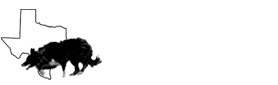 Logo bottom