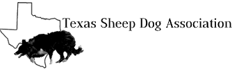Logo header